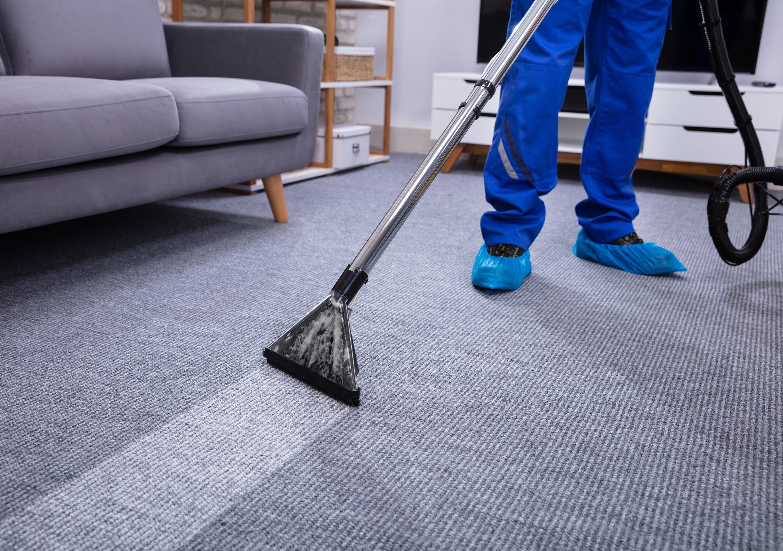 a cleaner vaccuming carpet