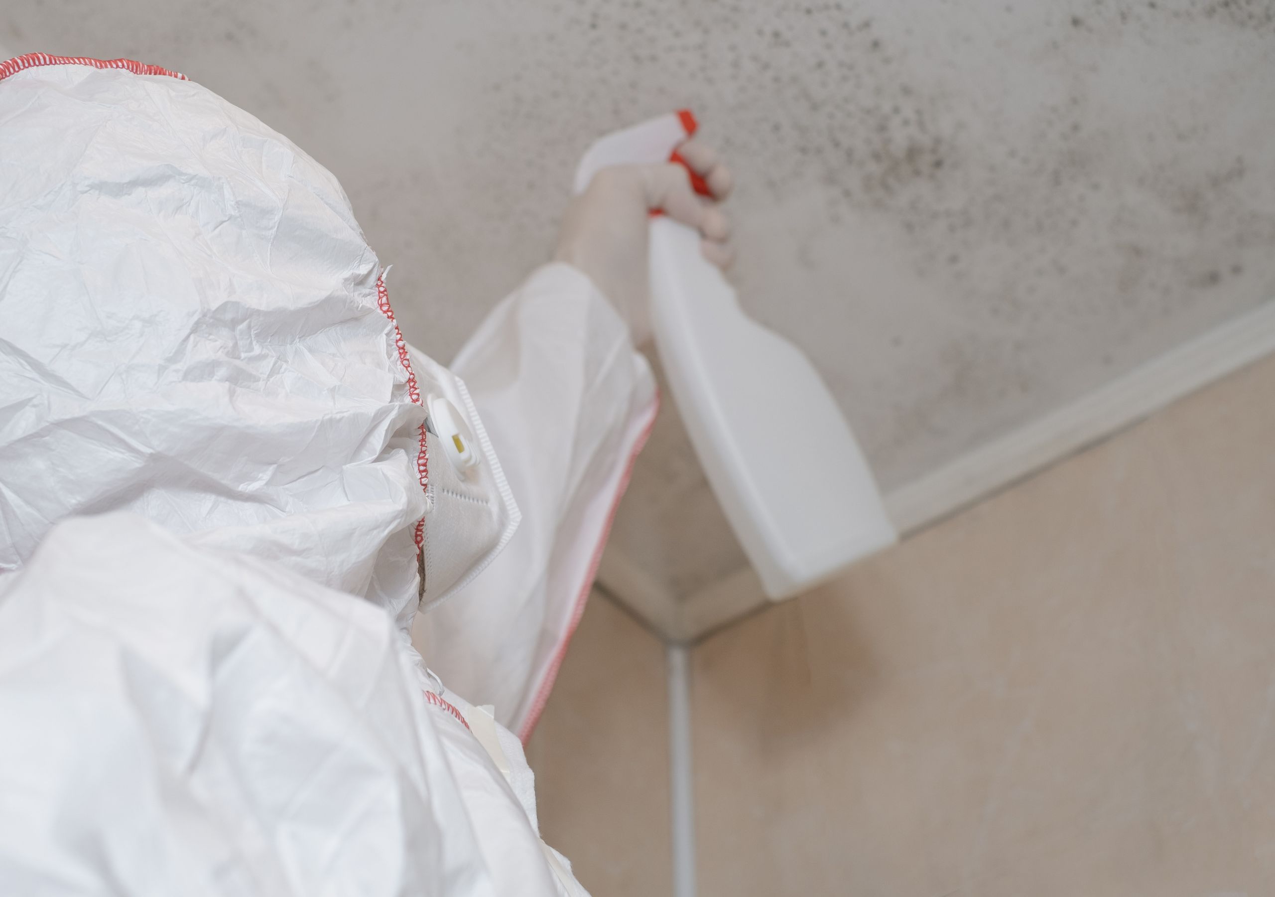 a professional in white uniform and mask removing mold from room corner