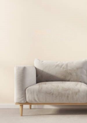 sofa image before clean