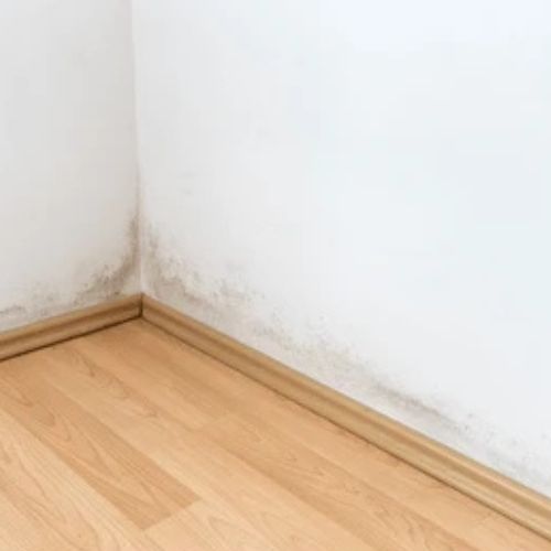 wall with mould sign (before)